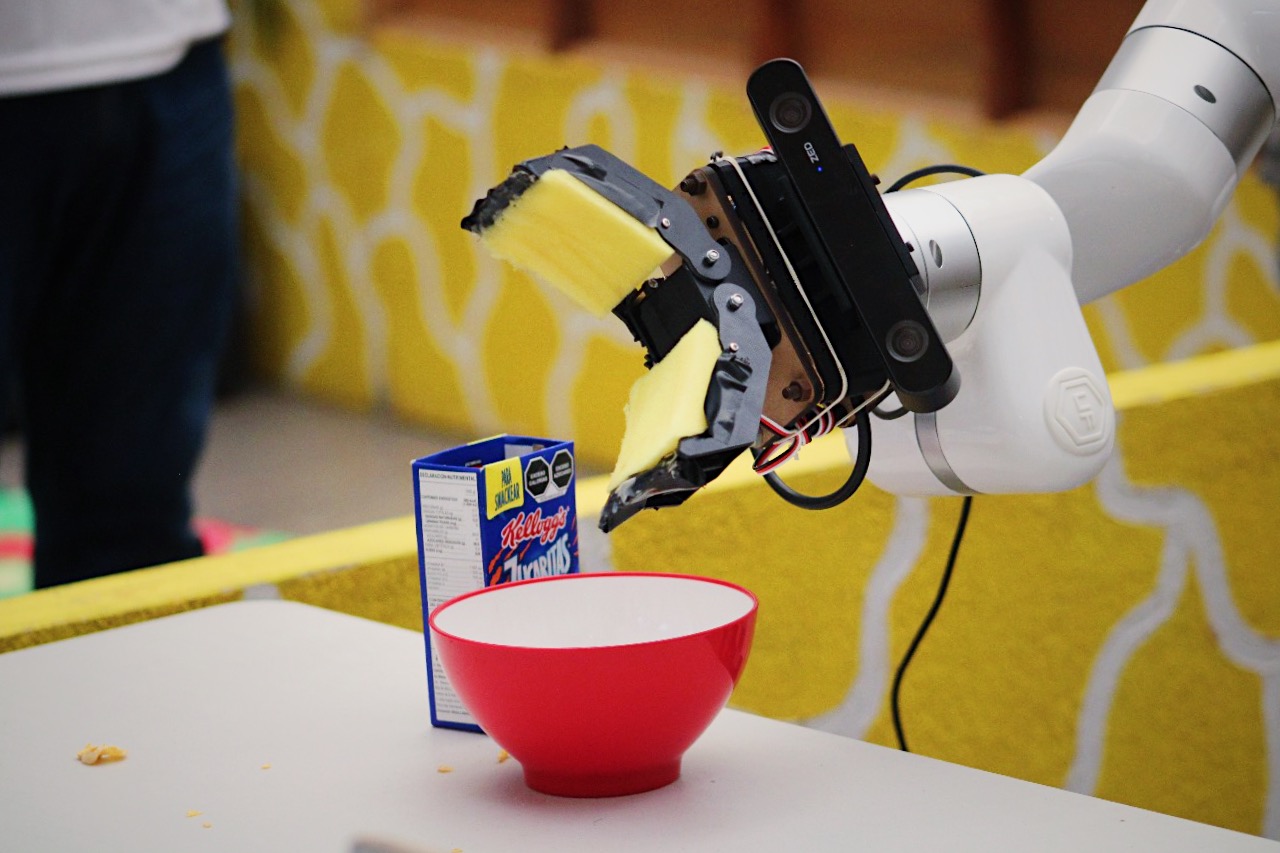 Friendly Robotic Interactive Domestic Assistant